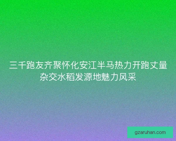 三千跑友齐聚怀化安江半马热力开跑丈量杂交水稻发源地魅力风采